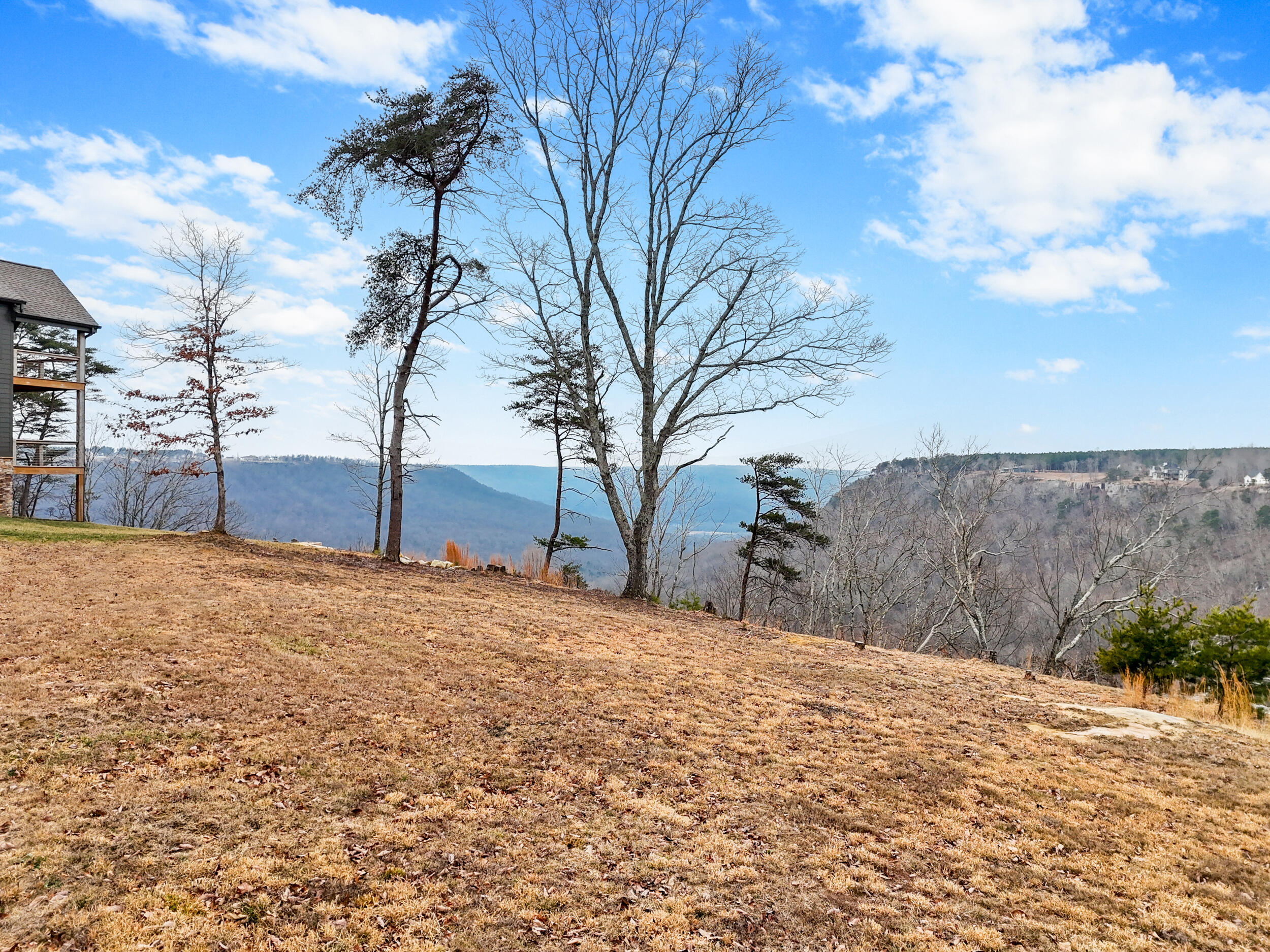 235 Pine Knot Pass Jasper, TN 37347 - Photo 3 of 36 dji_20260203221346_0456_d