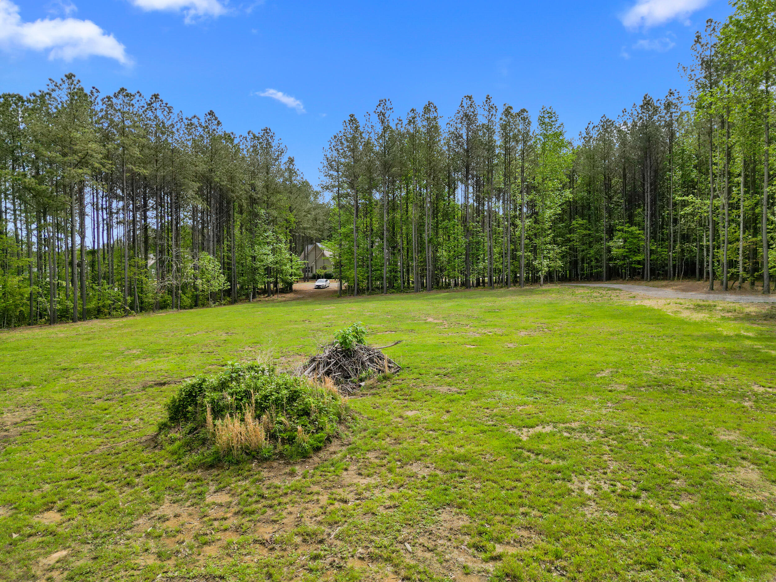 235 Pine Knot Pass Jasper, TN 37347 - Photo 33 of 36 dji_0881