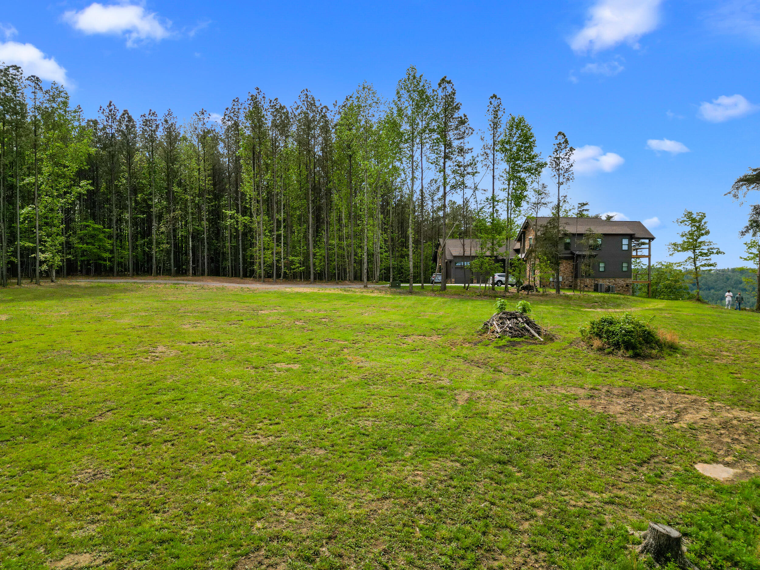 235 Pine Knot Pass Jasper, TN 37347 - Photo 34 of 36 dji_0886