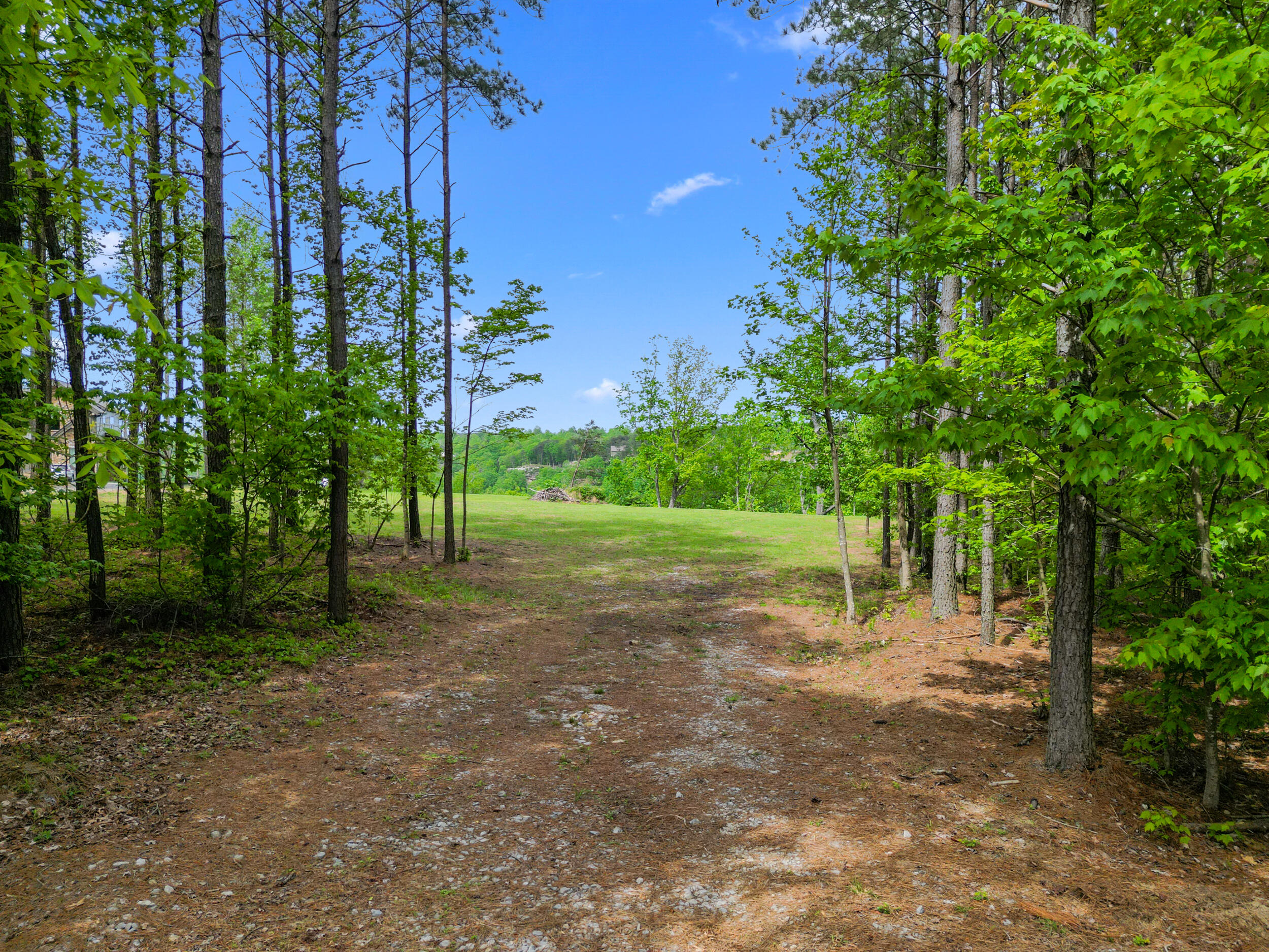235 Pine Knot Pass Jasper, TN 37347 - Photo 36 of 36 dji_0896