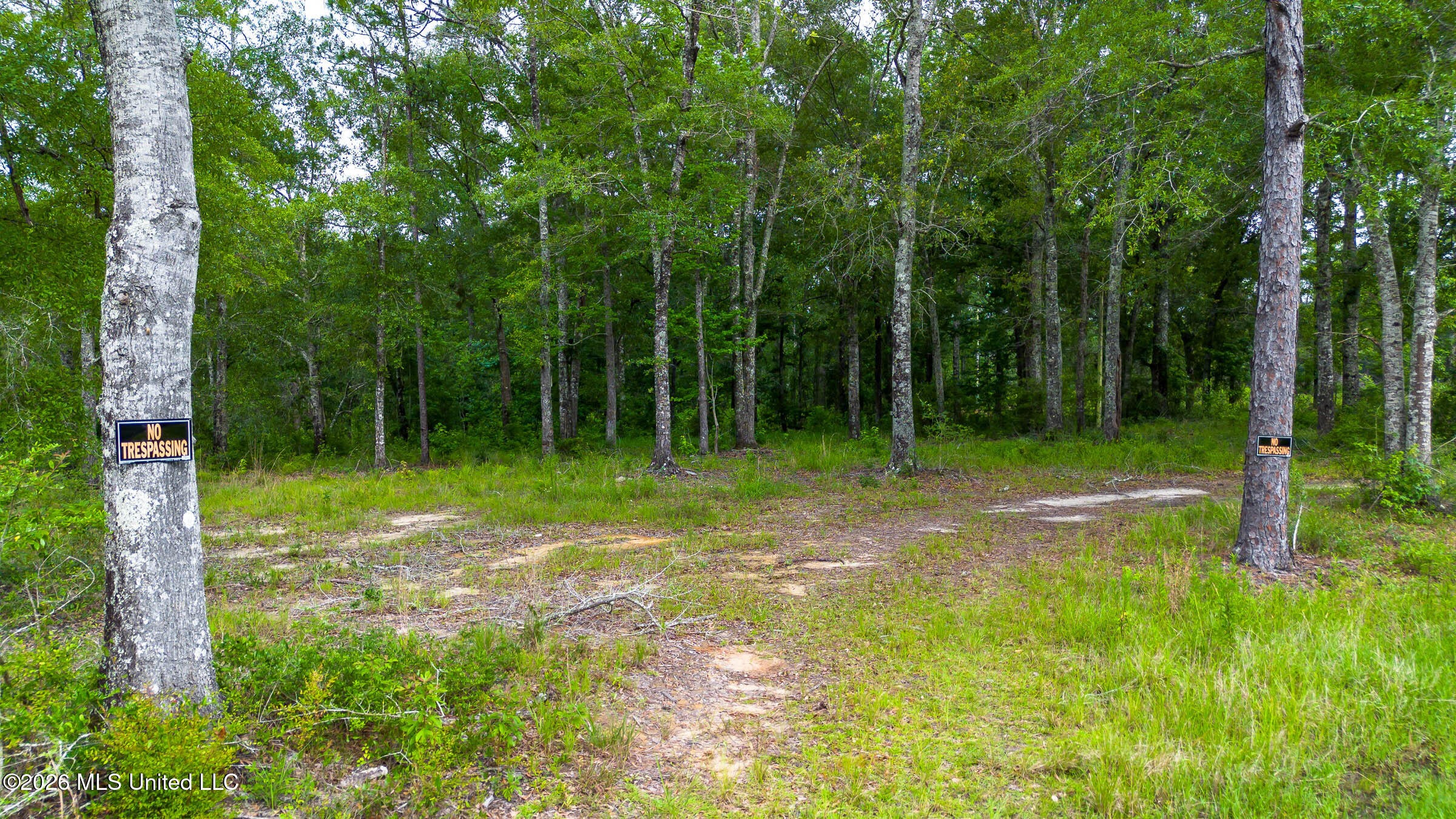 17465 Nobles Road Saucier, MS 39574 - Photo 13 of 19 17465 Nobles Rd (13)