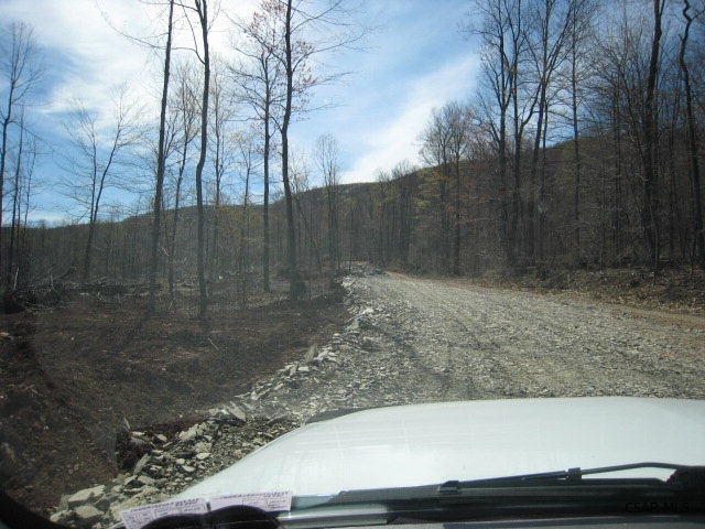 Mountain Springs Road, Unit 5 5 Alum Bank, PA 15521 - Photo 20 of 24 Gallery Image 20