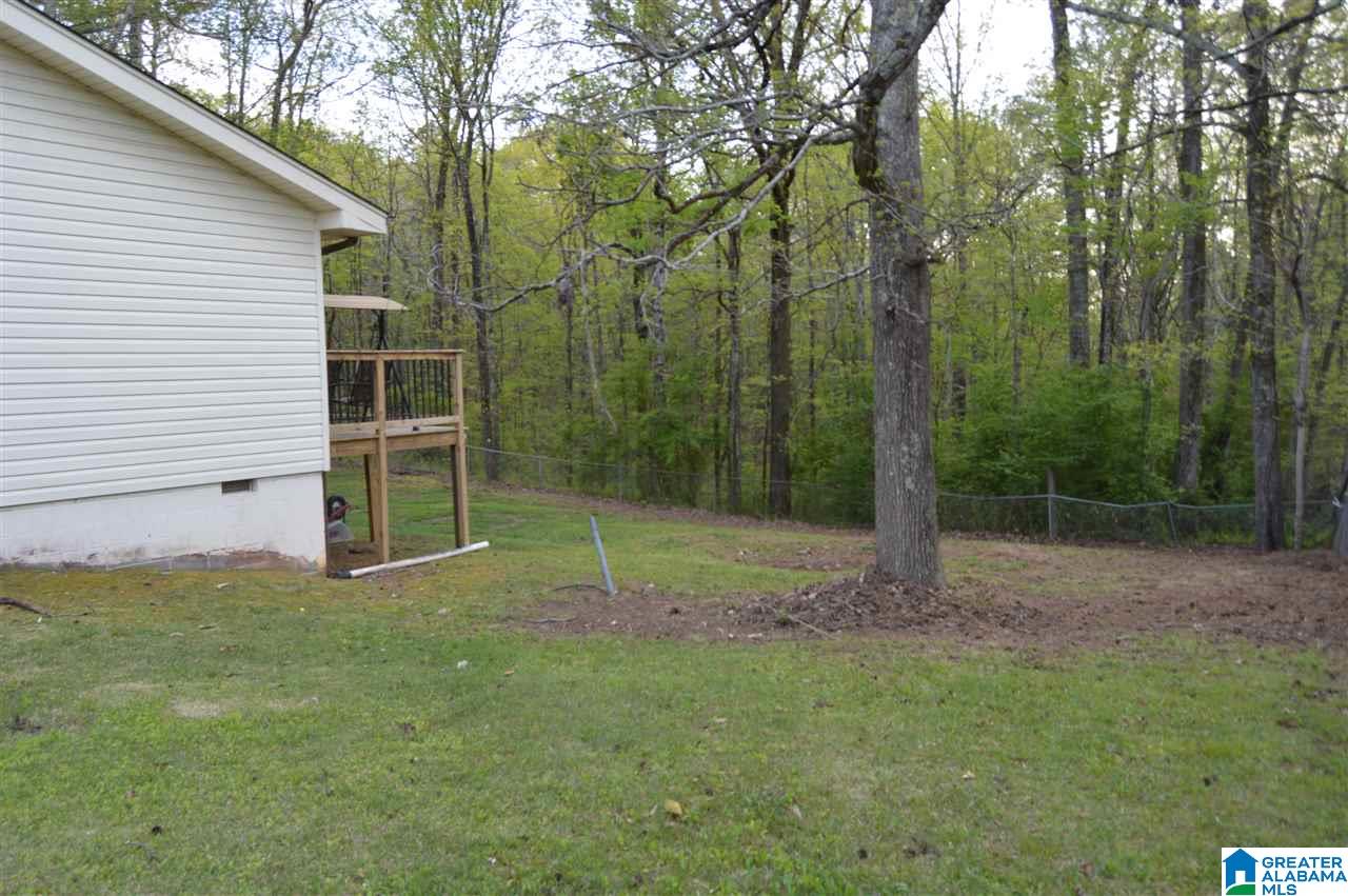 11100 Highway 31 Warrior, AL 35180 - Photo 45 of 47