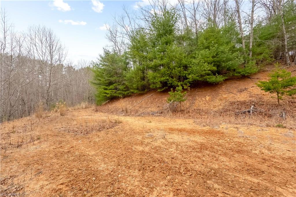 701 Lincoln Road Galax, VA 24333 - Photo 29 of 35