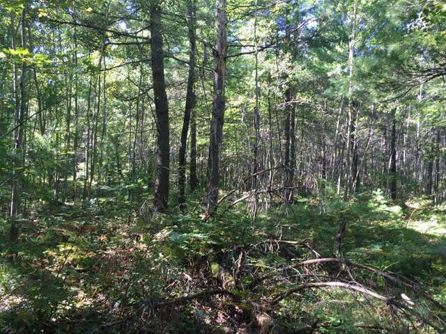 Lot 33 Pine Shadow Lane Rhinelander, WI 54501 - Photo 13 of 13 Gallery Image 13