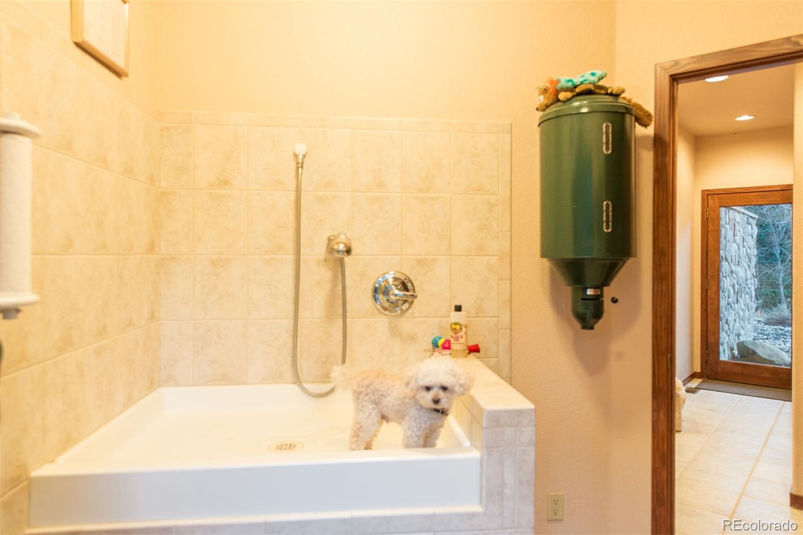 33407 Buffalo Park Road Evergreen, CO 80439 - Photo 27 of 35 Gallery Image 27