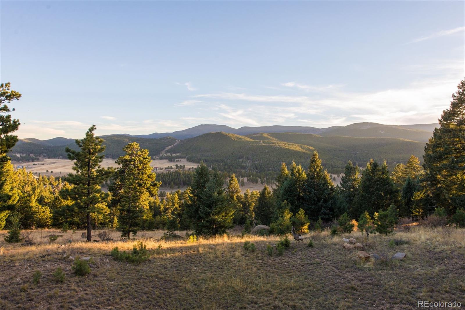 33407 Buffalo Park Road Evergreen, CO 80439 - Photo 32 of 35 Gallery Image 32