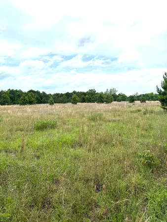 $358,400 | Tbd Fort Motte Road, St. Matthews, SC 29135