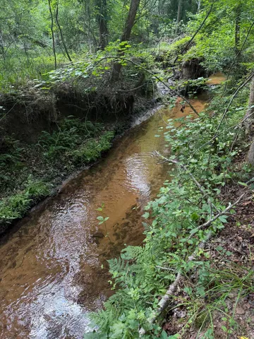 $358,400 | Tbd Fort Motte Road, St. Matthews, SC 29135