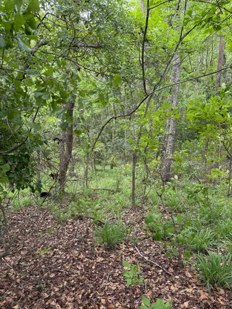 $358,400 | Tbd Fort Motte Road, St. Matthews, SC 29135