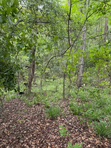 $358,400 | Tbd Fort Motte Road, St. Matthews, SC 29135