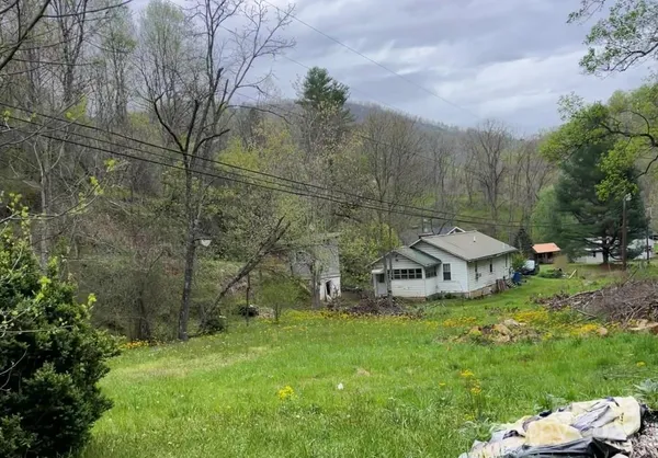 a view of a park with large trees