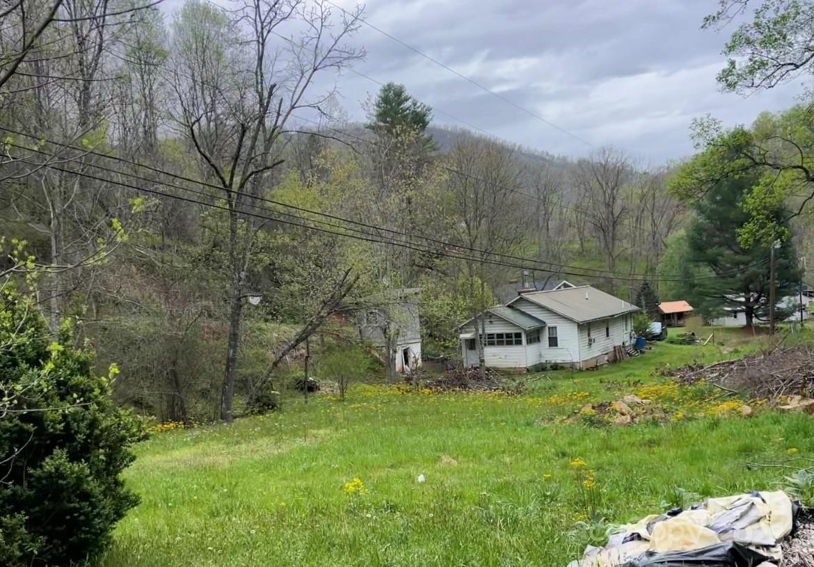 522 Deyton Road Bakersville, NC 28705 - Photo 4 of 11 a view of a park with large trees