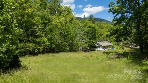 a view of yard with green space