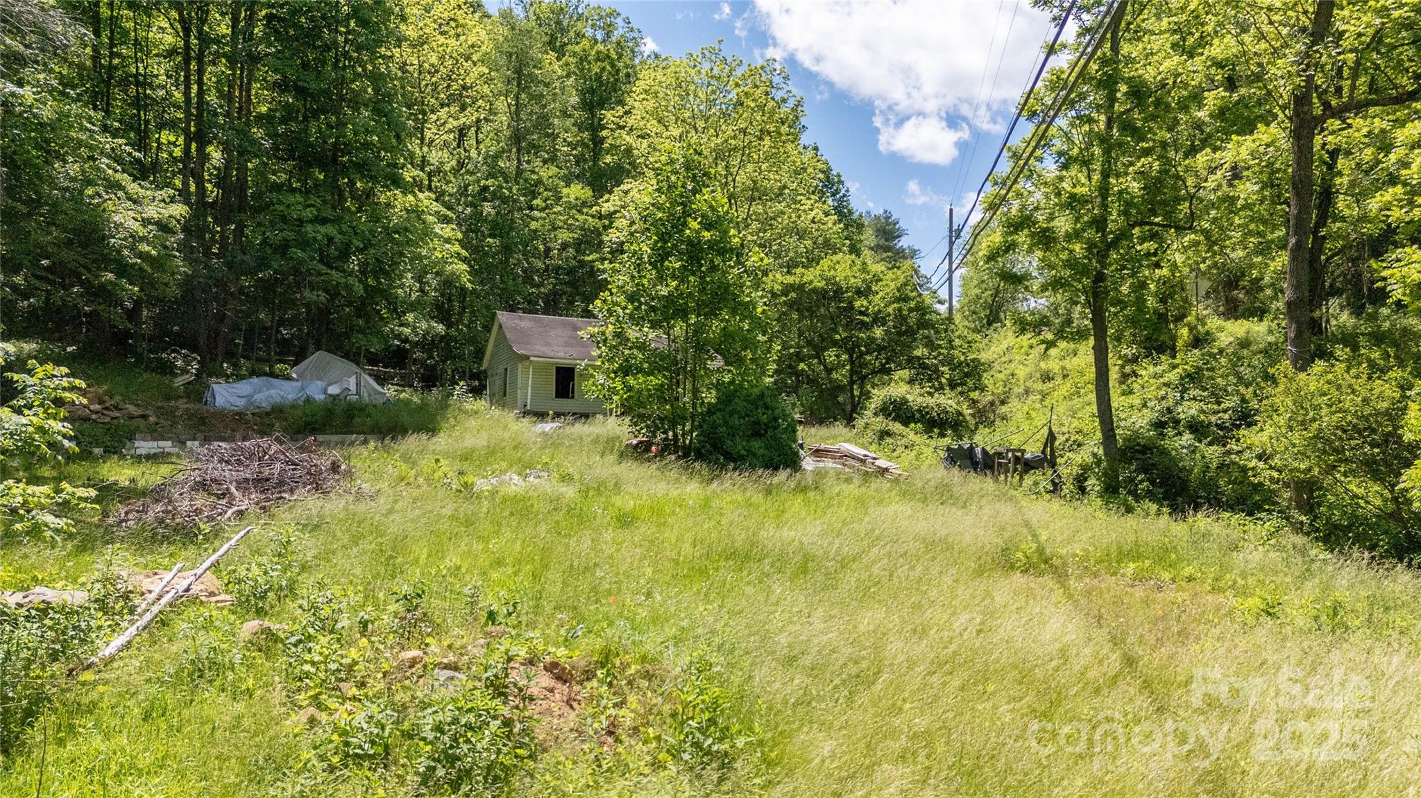 522 Deyton Road Bakersville, NC 28705 - Photo 8 of 11 a view of a garden