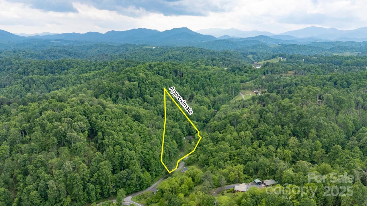 522 Deyton Road Bakersville, NC 28705 - Photo 9 of 11 a view of a lush green hillside and a mountain