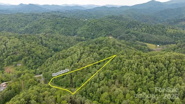 a view of a forest with a forest