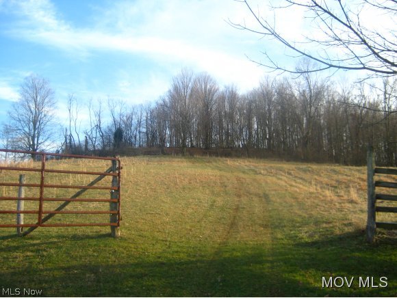 69 A Rt 18 Middlebourne, WV 26149 - Photo 6 of 10 Pasture