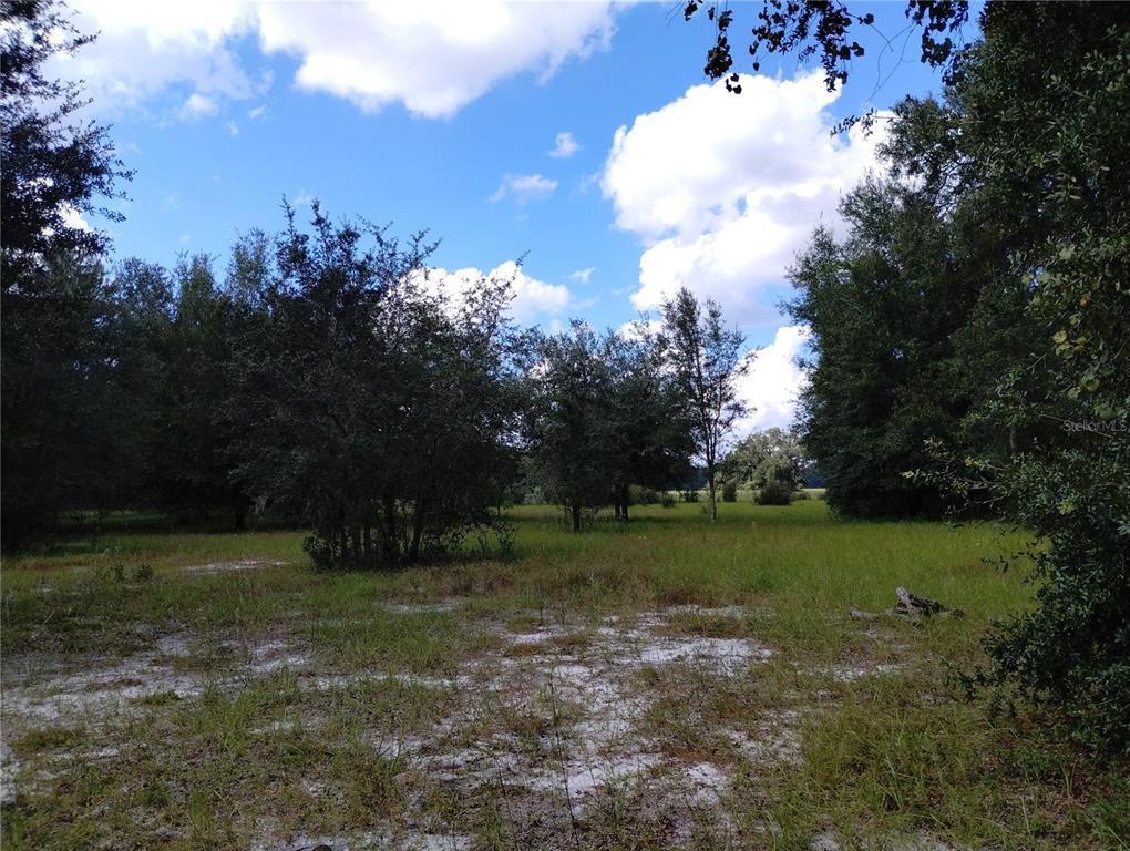 1826 Southeast 44th Place Bushnell, FL 33513 - Photo 11 of 29 a view of a field