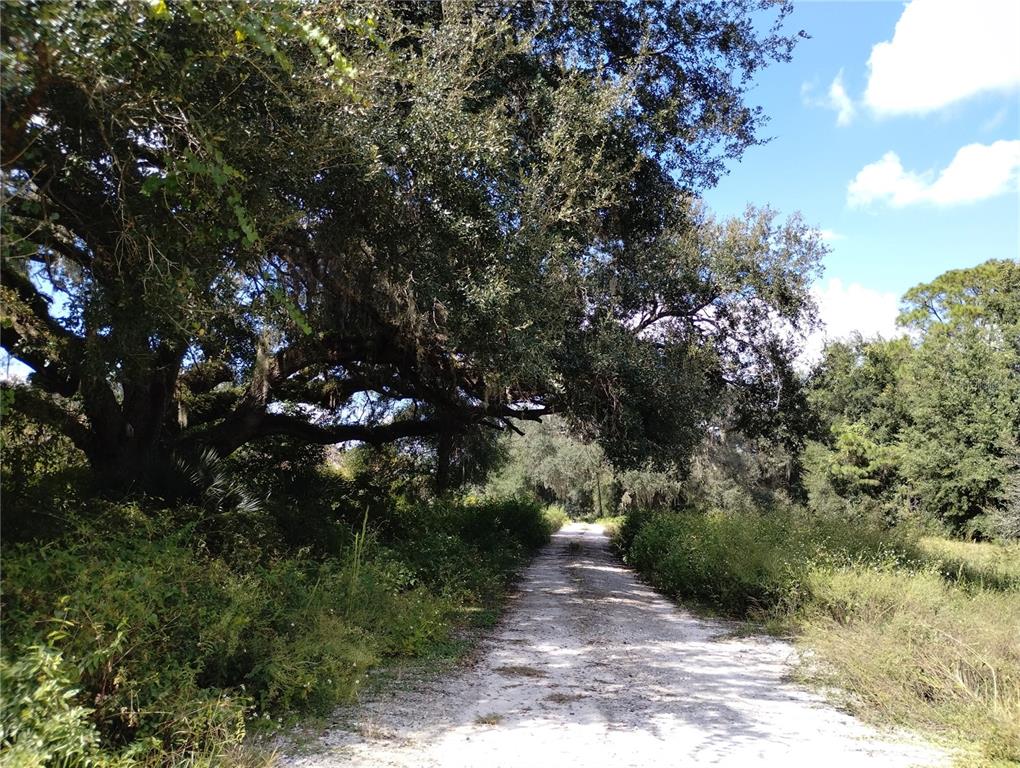 1826 Southeast 44th Place Bushnell, FL 33513 - Photo 2 of 29 a picture of trees