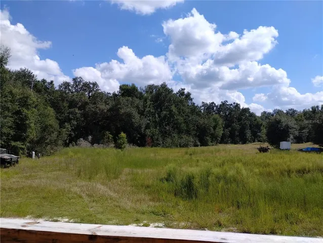 a view of a big yard with large trees