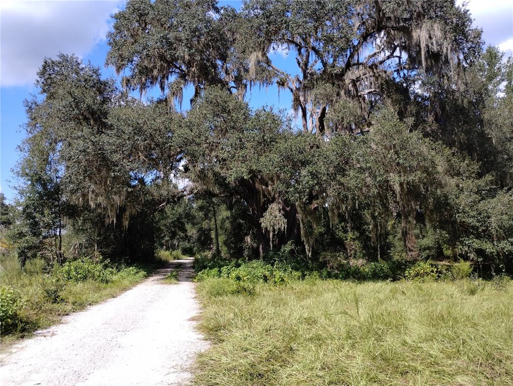 1826 Southeast 44th Place Bushnell, FL 33513 - Photo 3 of 29 a view of outdoor space and trees