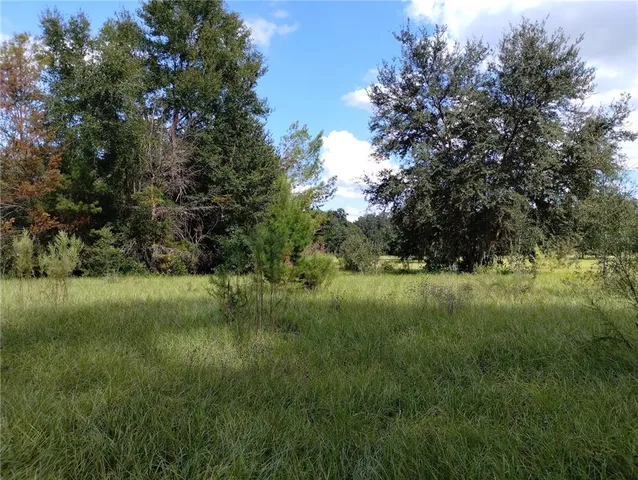 a view of outdoor space and yard