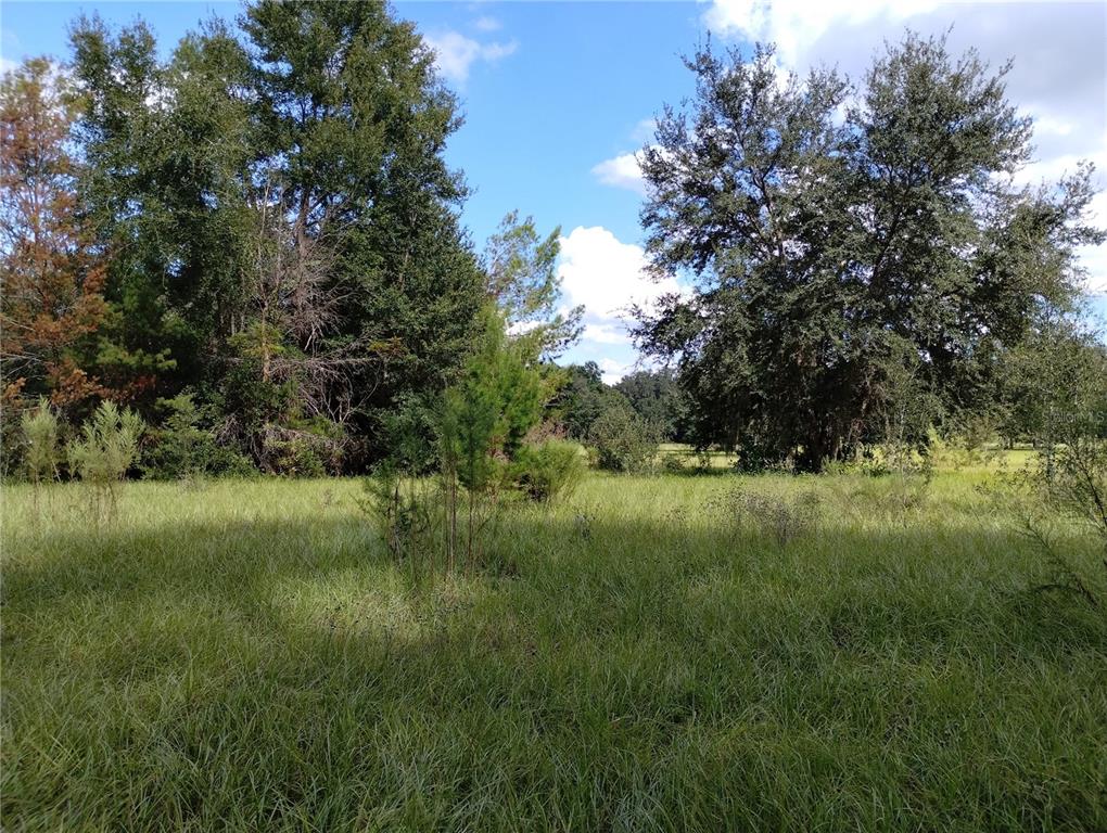1826 Southeast 44th Place Bushnell, FL 33513 - Photo 5 of 29 a view of outdoor space and yard