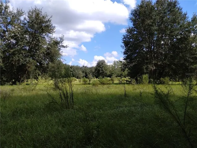 a view of a green field with a tree