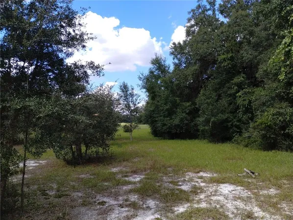 a view of a trees with a yard