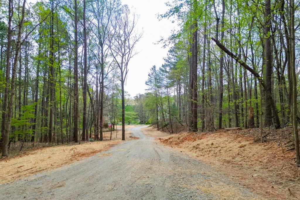 7925 Lotus Walk Cumming, GA 30041 - Photo 10 of 14