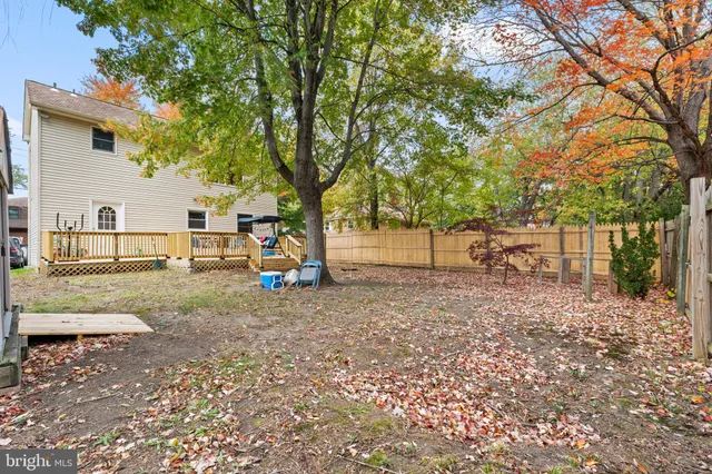 a view of a yard with a tree