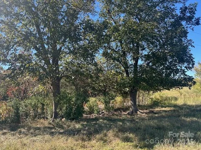 a view of a yard with a tree