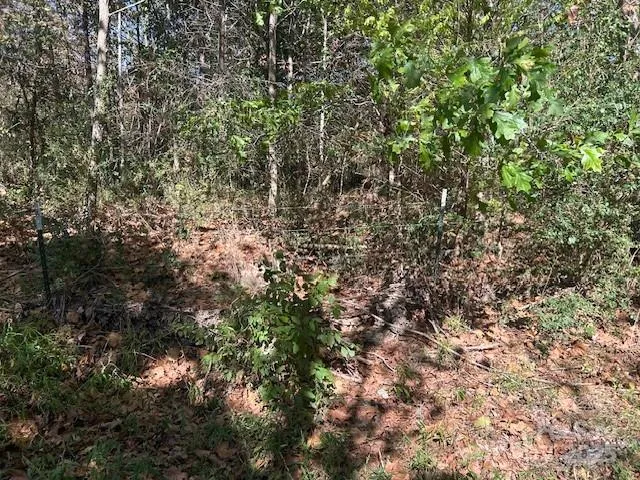 a view of a yard with a tree