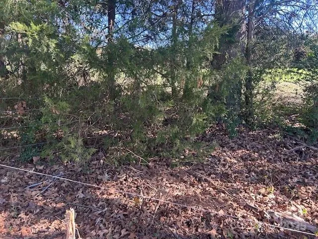 a backyard of a house