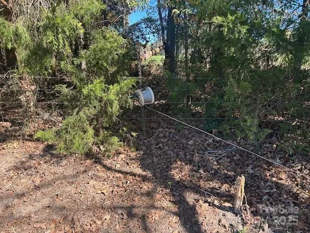 a view of a forest with trees in the background