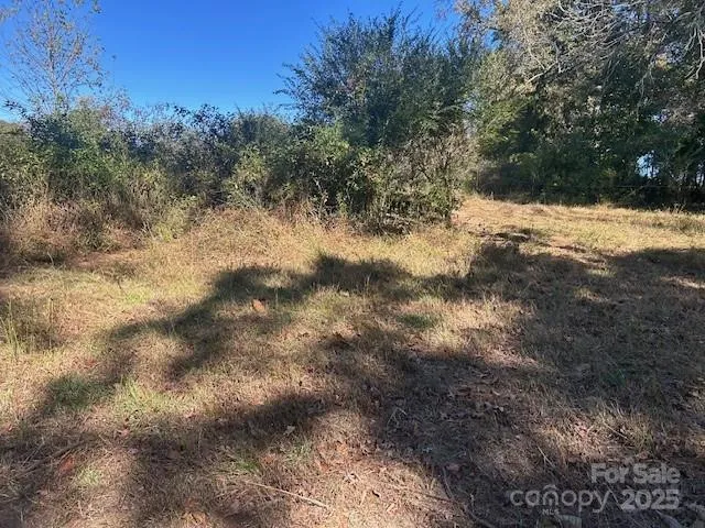a view of outdoor space with green space