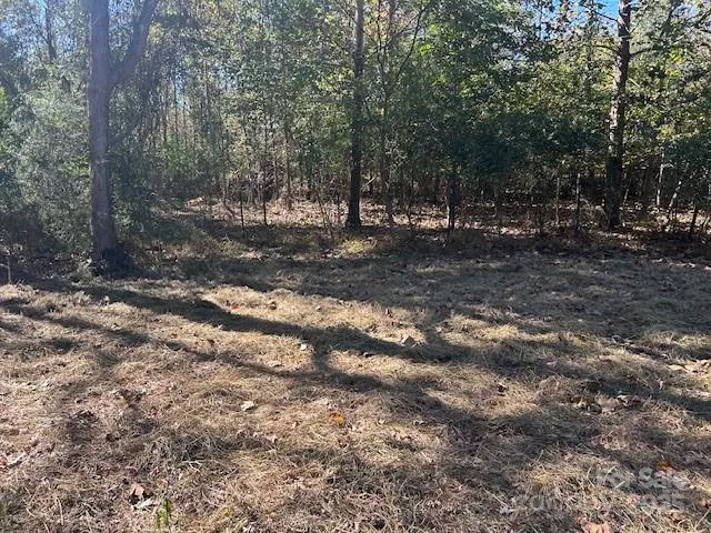a view of a field with an ocean