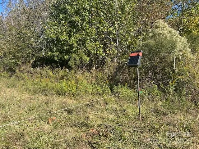 a view of a dry yard