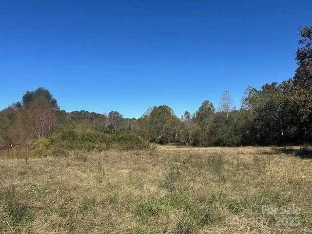 a view of a field with a tree in the background
