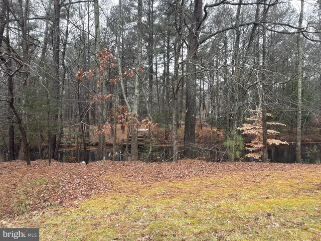 a view of snow covered with snow