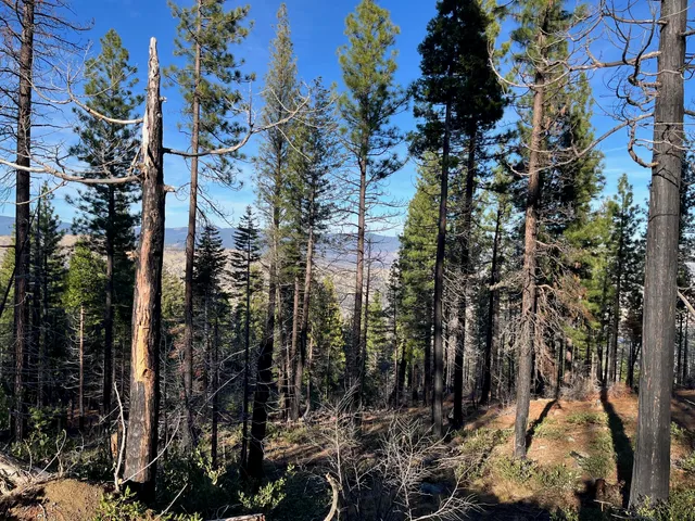 $19,500 | 16 Acres, Susanville, CA 96130