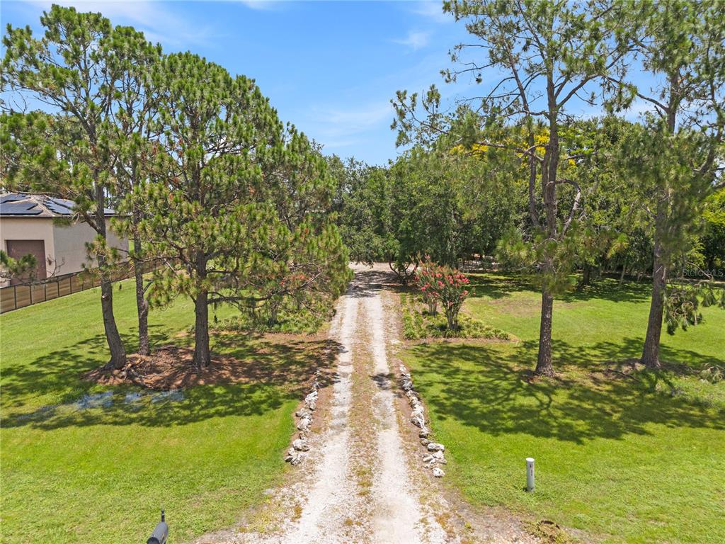 10355 Trout Road Orlando, FL 32836 - Photo 8 of 91
