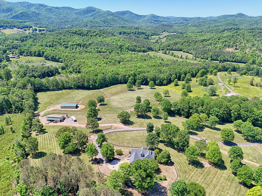 1193 Pine Log Road Warne, NC 28909 - Photo 64 of 75