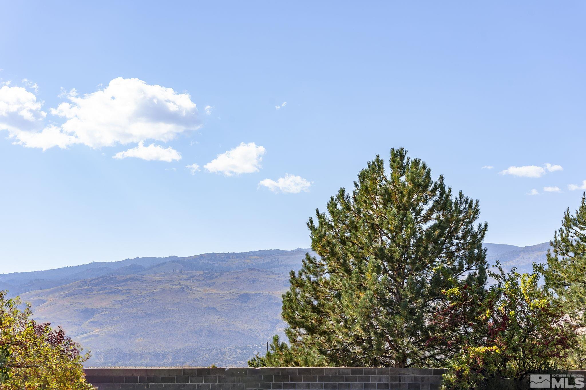 2150 Soldier Pass Court Reno, NV 89523 - Photo 36 of 38 a view of a bunch of trees in a field