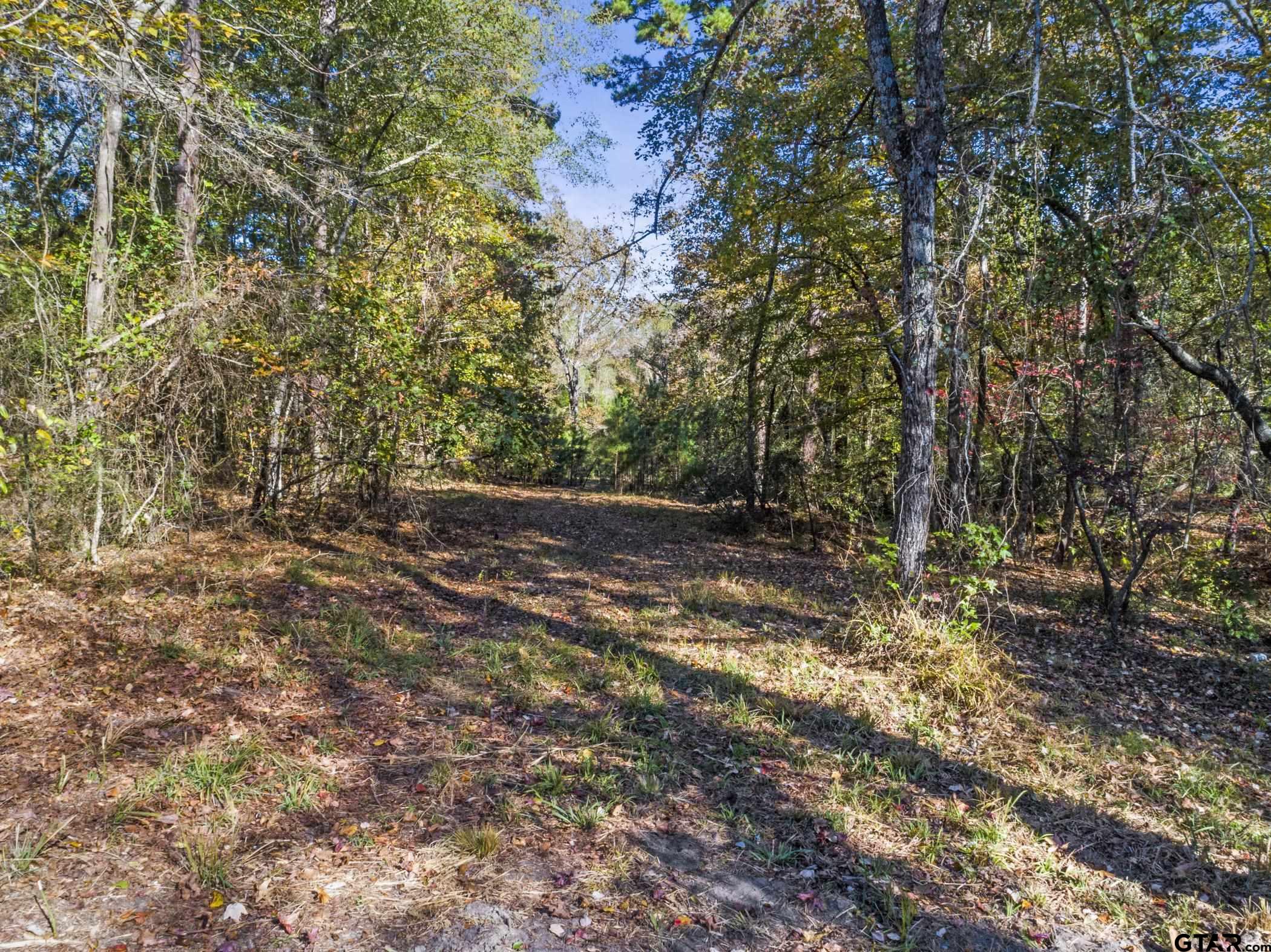 396 Tyler Tx 75708 Tyler, TX 75708 - Photo 13 of 16 a view of a forest with trees in the background