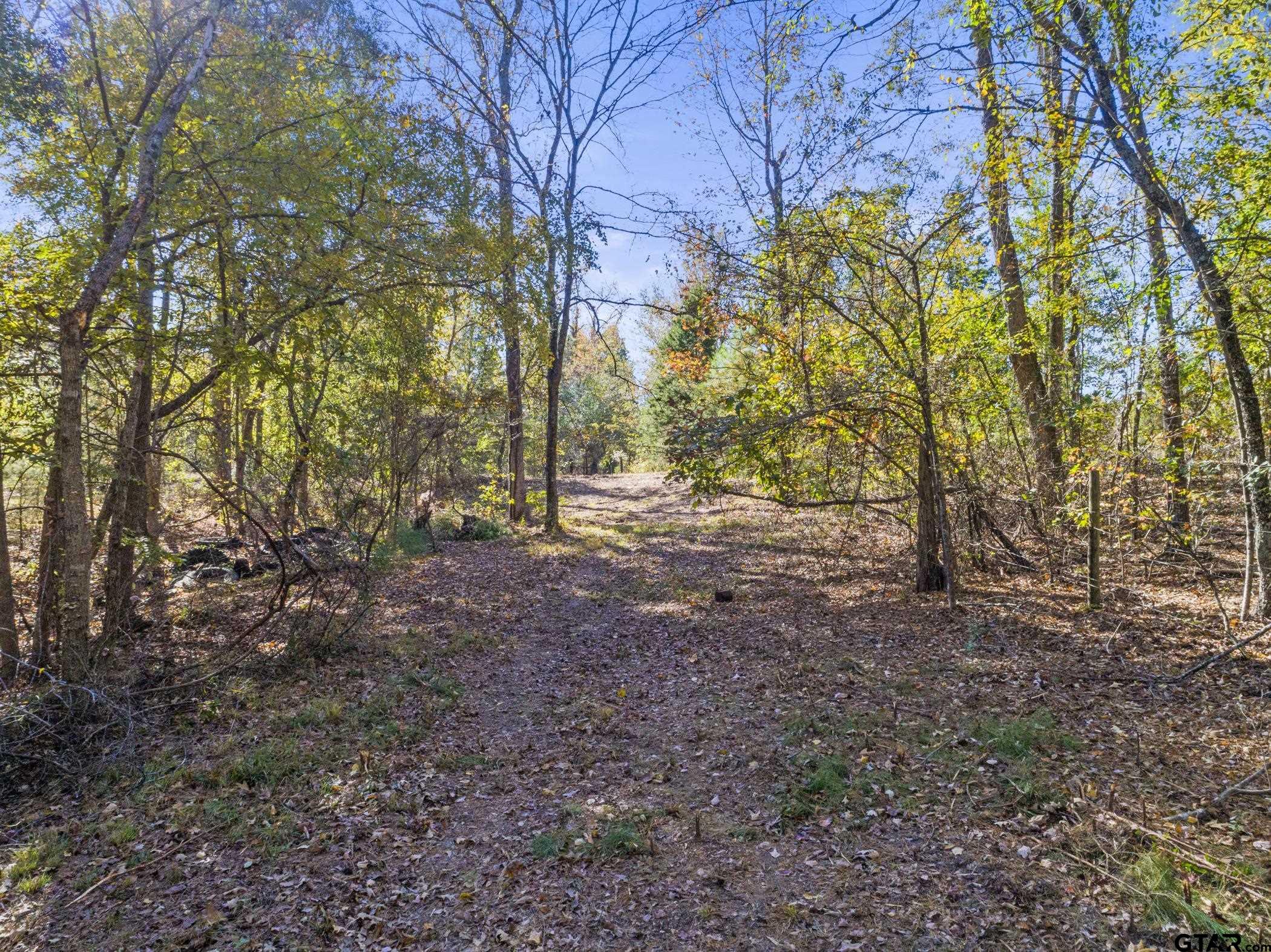396 Tyler Tx 75708 Tyler, TX 75708 - Photo 14 of 16 a view of a yard with plants and trees