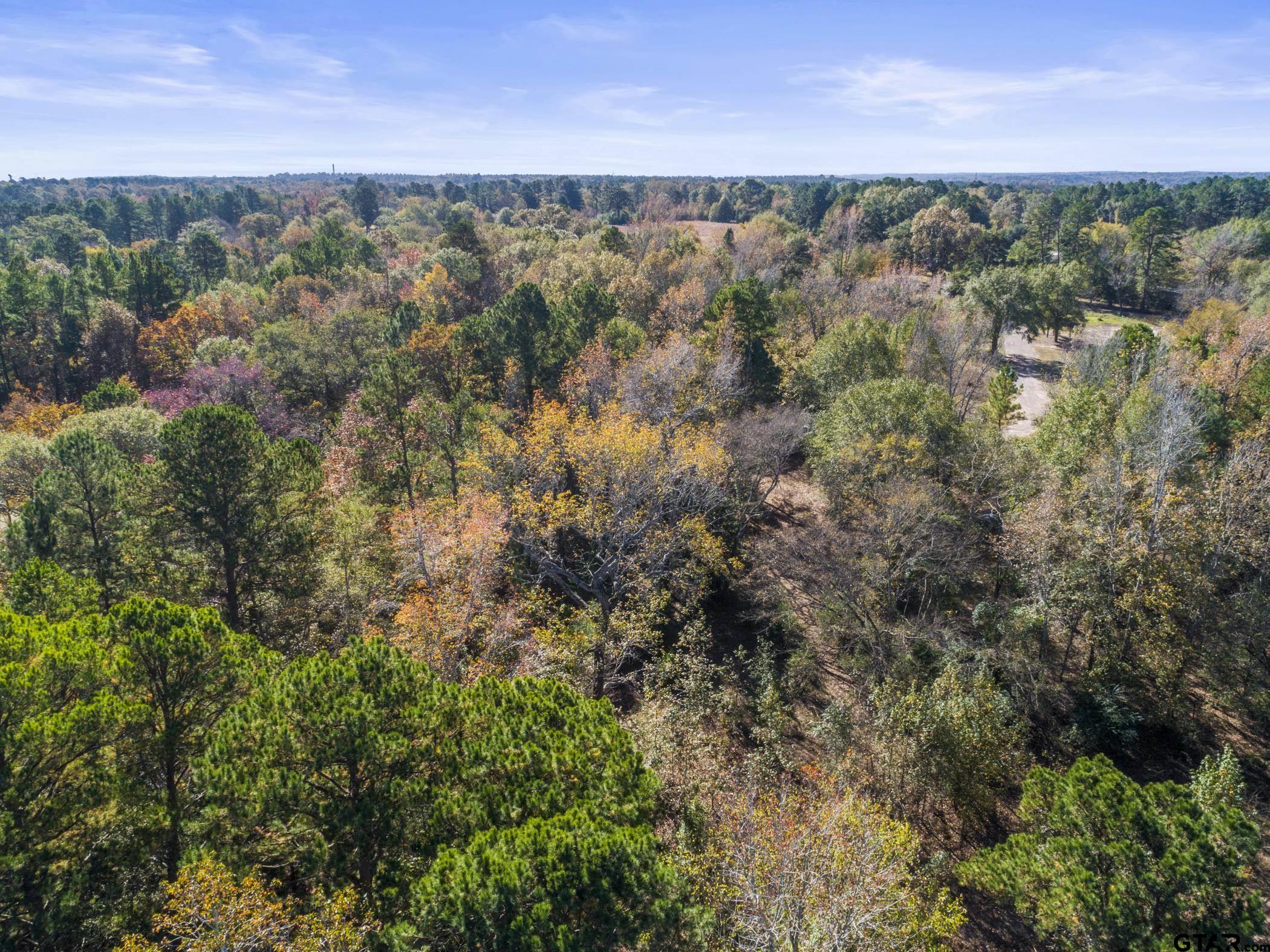 396 Tyler Tx 75708 Tyler, TX 75708 - Photo 16 of 16 an aerial view of a houses with outdoor space and trees