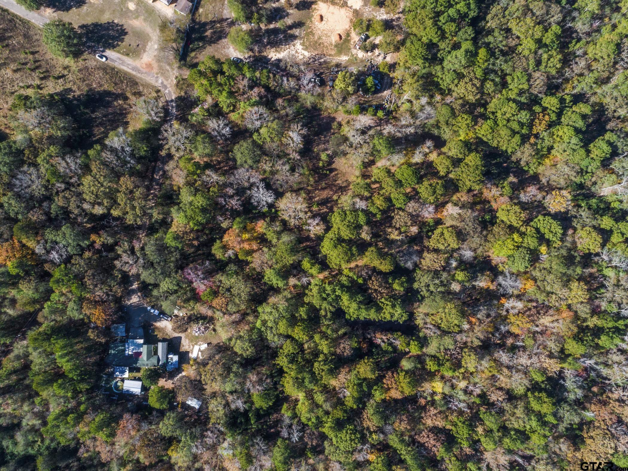 396 Tyler Tx 75708 Tyler, TX 75708 - Photo 2 of 16 a view of a tree