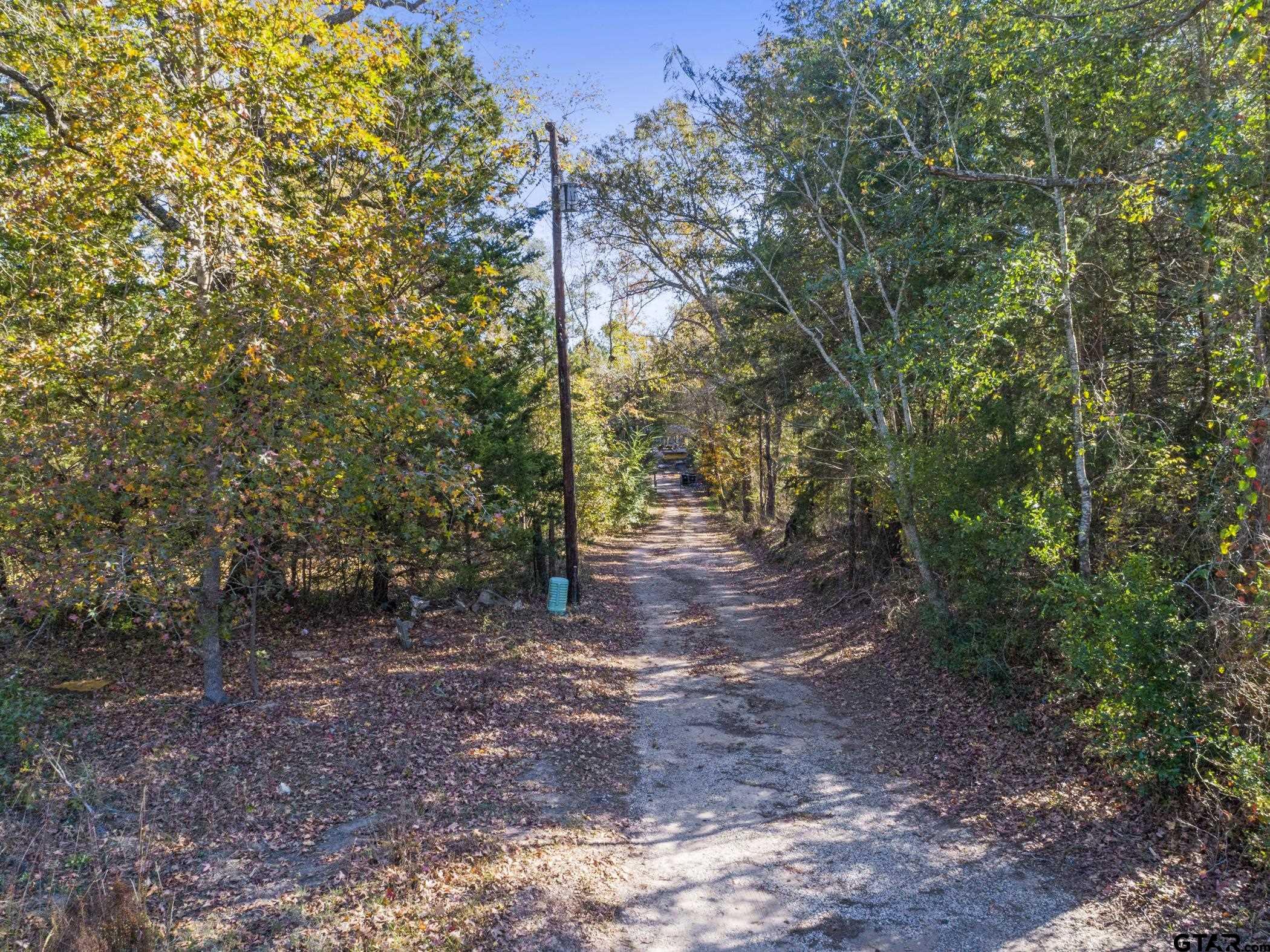 396 Tyler Tx 75708 Tyler, TX 75708 - Photo 4 of 16 a view of a forest with trees